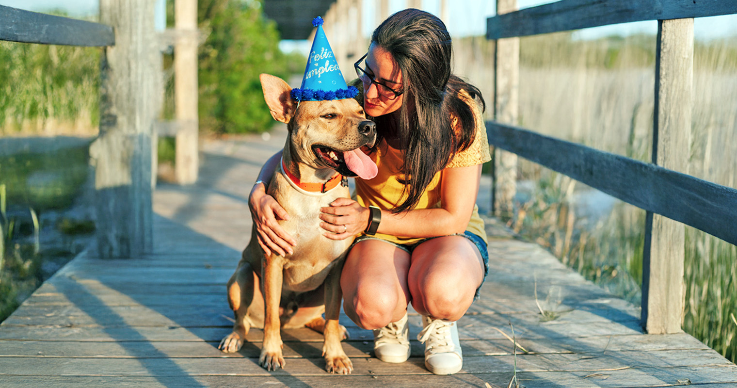 Dog Age Chart: How to Calculate a Dog’s Age