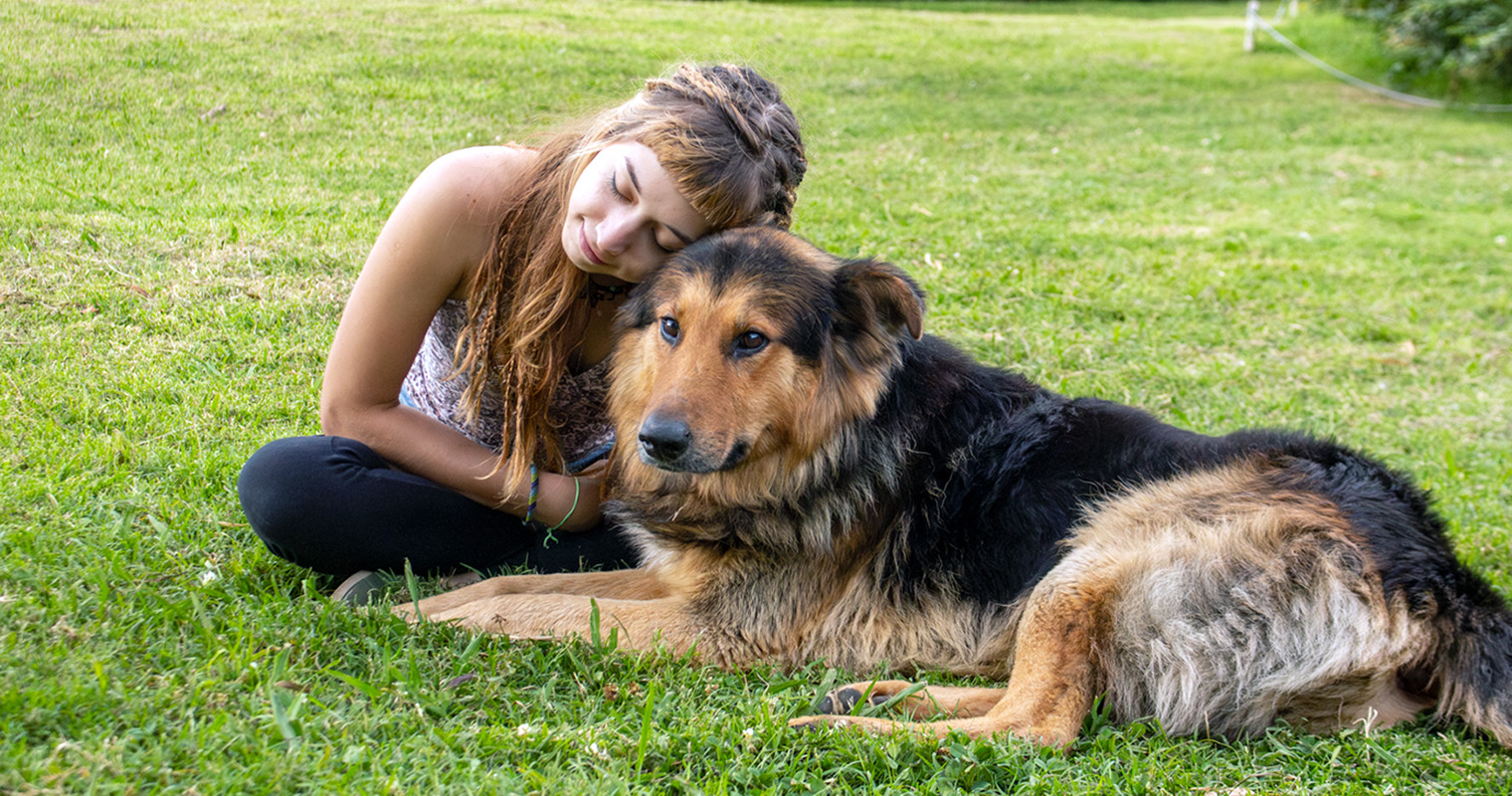 Four Things to Do If You Want to Adopt a Dog From Another Country