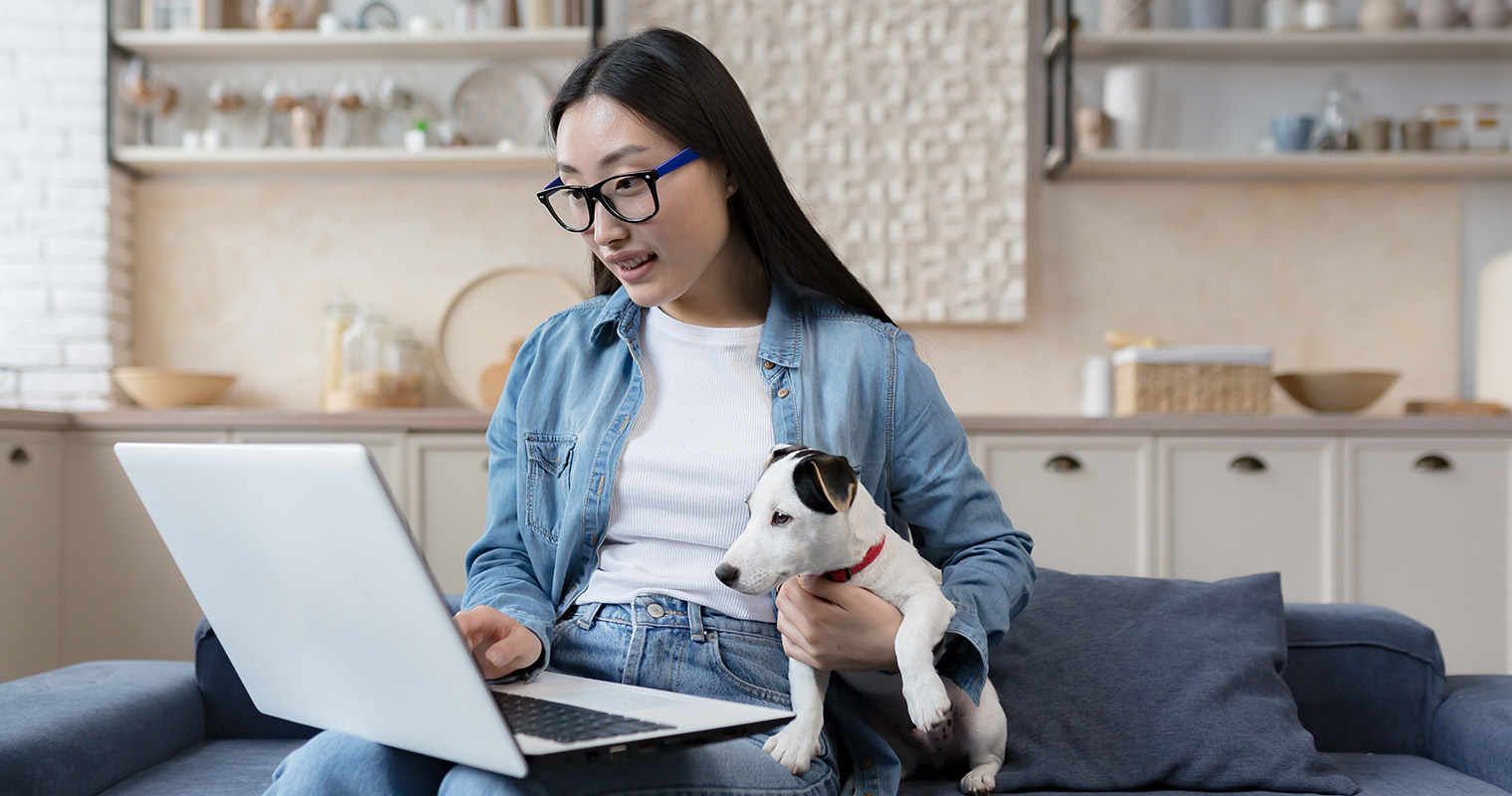 How Can I Find a Home for My Jack Russell Terrier?