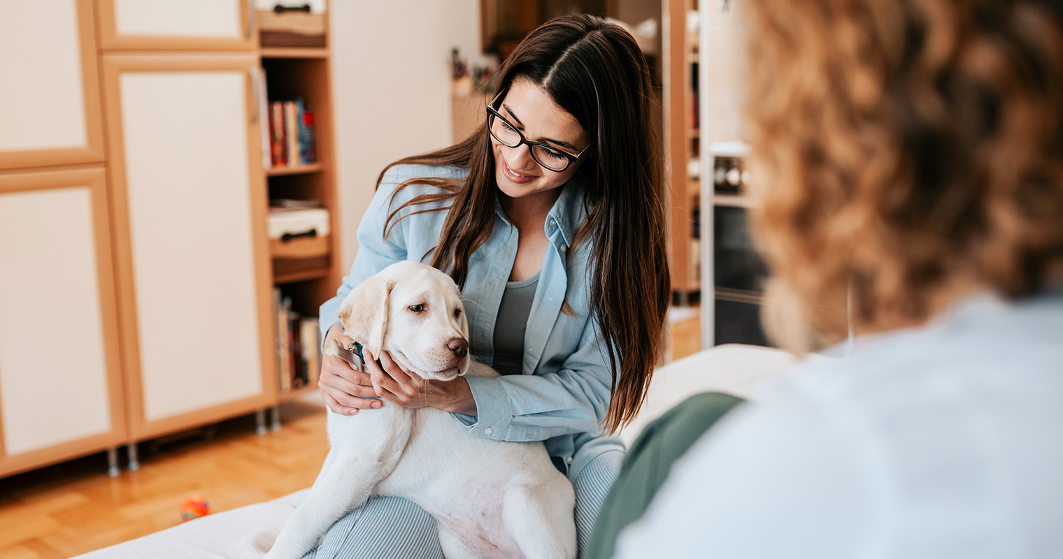 Why Adopting a Rehomed Pet Lead to Better Matches