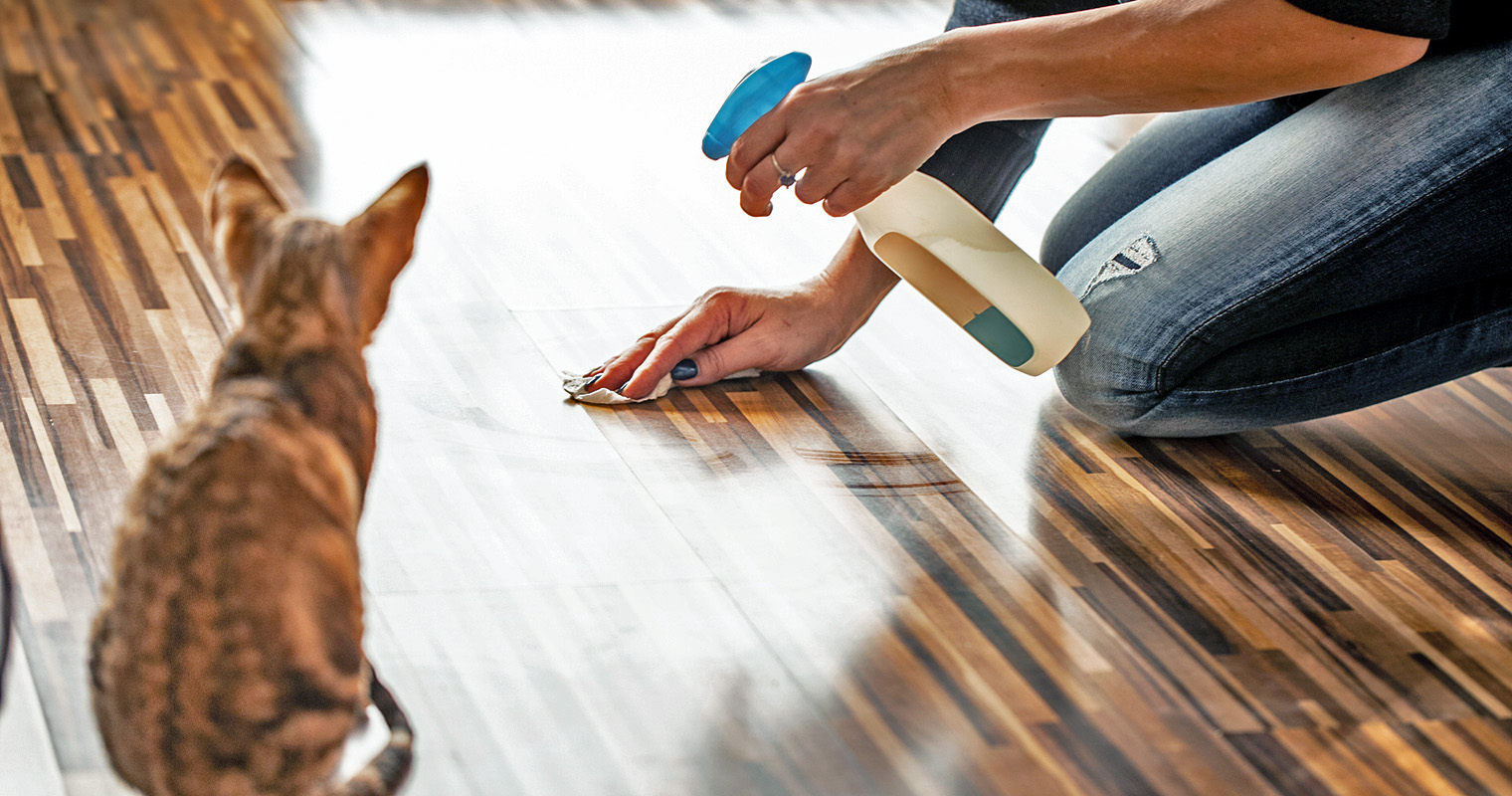 Why Is My Cat Pooping On The Floor?