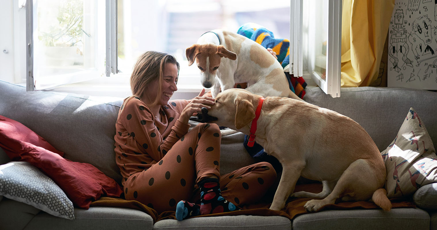 Adopting A Bonded Pair of Dogs: Pros and Cons to Consider
