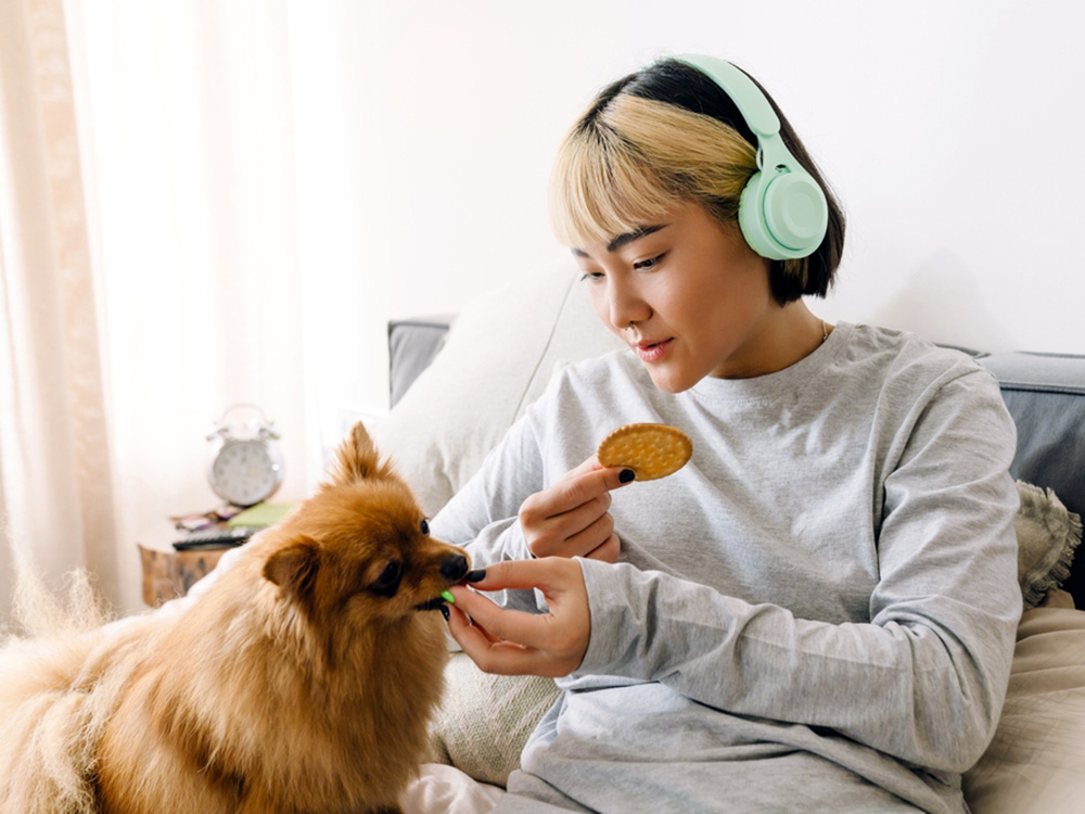 Can Dogs Eat Ritz Crackers? Human Food for Dogs