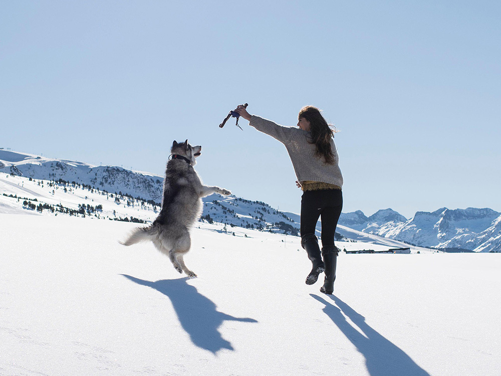 Fashion dogs that like cold weather