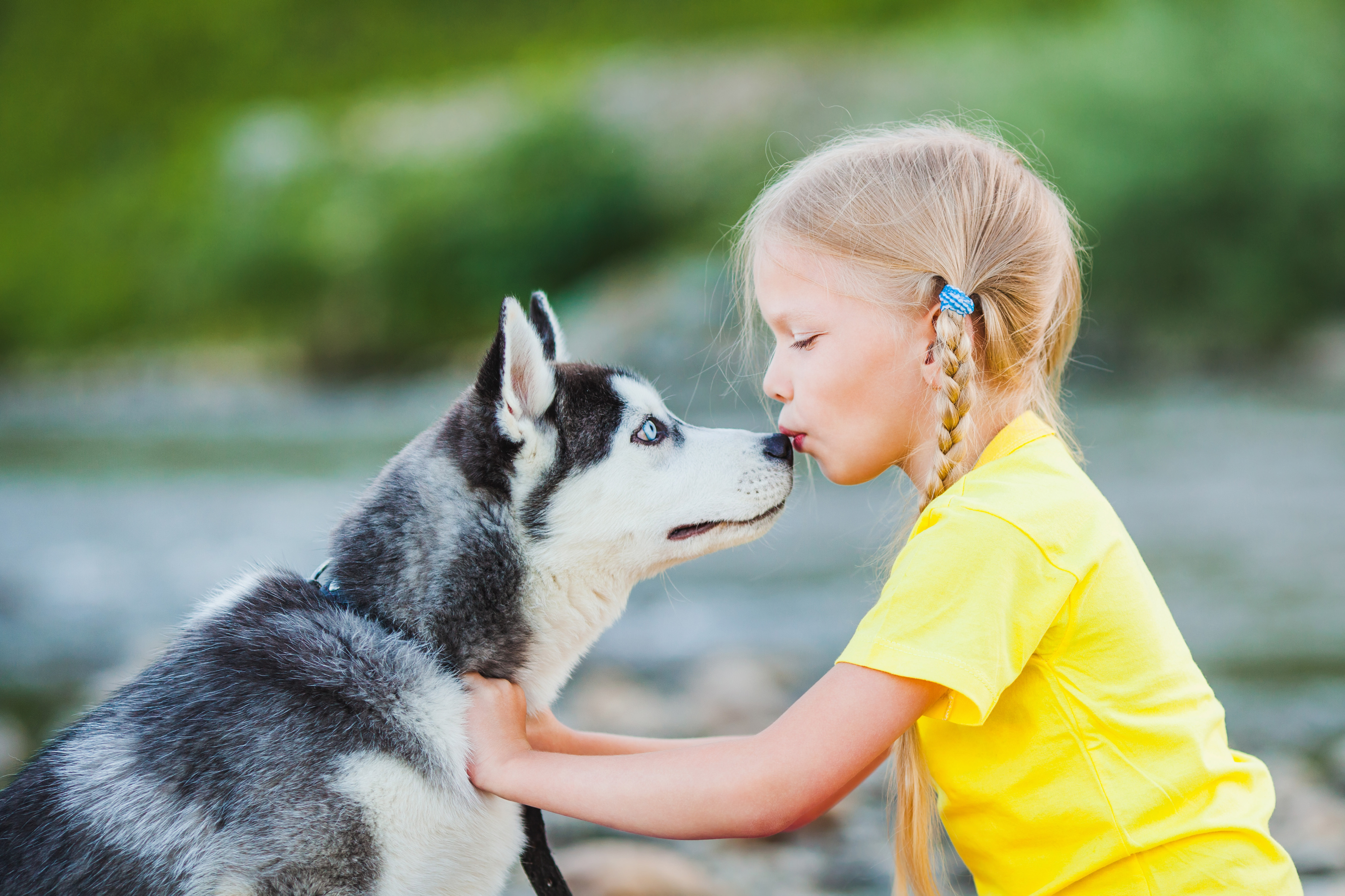 are huskies friendly with kids