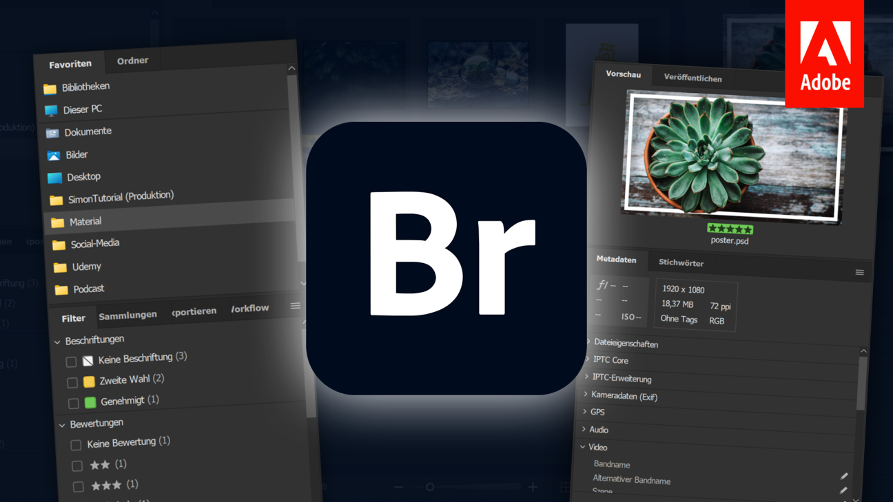 Adobe Bridge 2022 (Grundkurs für Einsteiger): Einfach deine Dateien verwalten