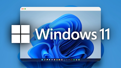 Windows 11
