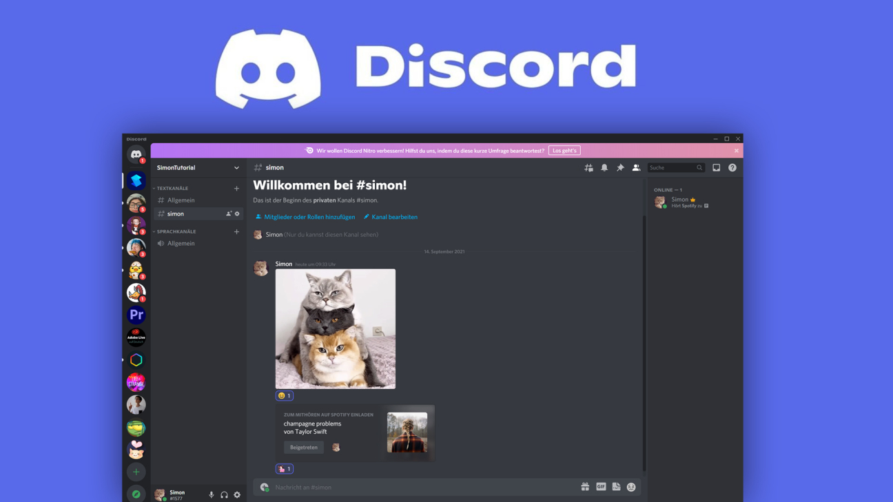 Wie funktioniert Discord? (Das Große Tutorial)