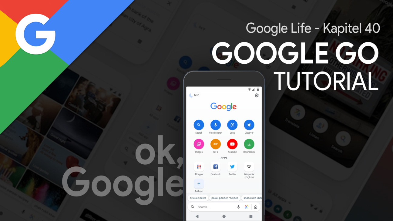 Google Go (Tutorial): Einfacher & schneller Suchen
