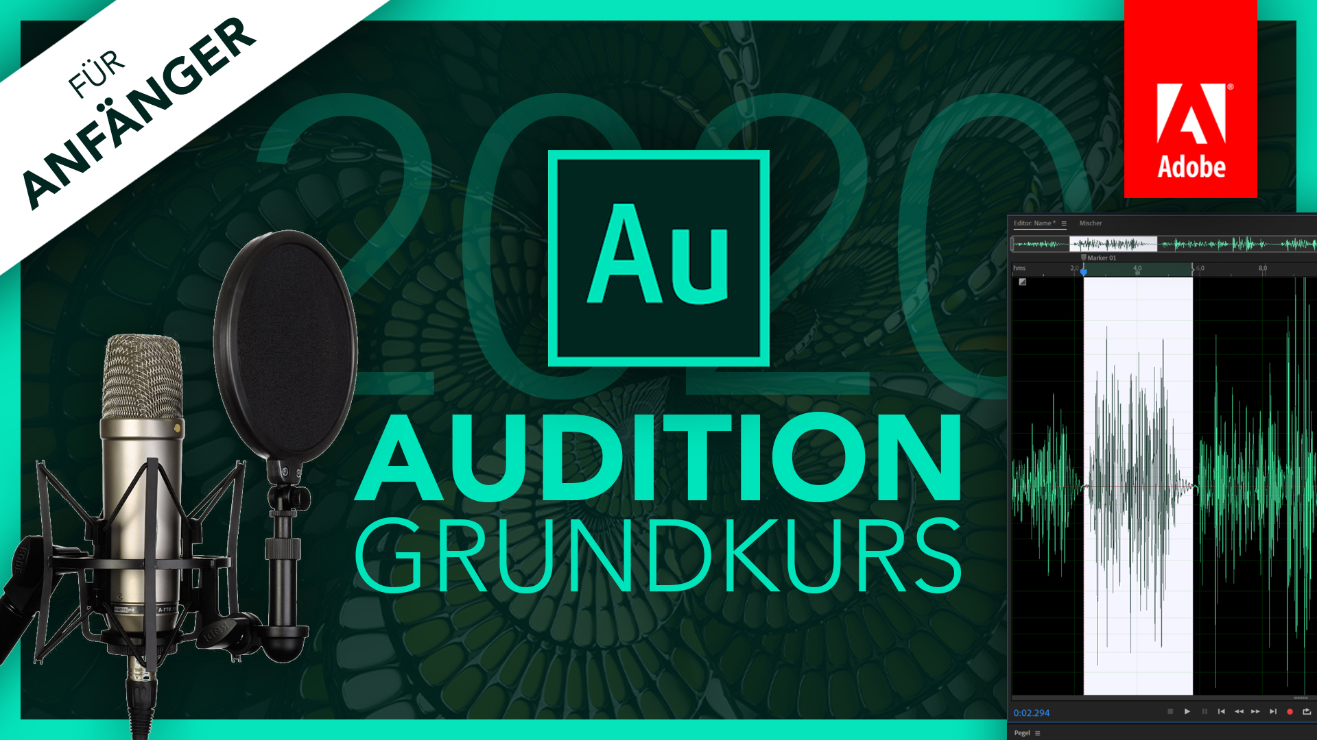 Adobe Audition 2020 (Grundkurs für Anfänger) Deutsch