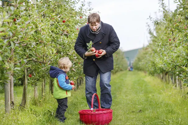 gardening-with-toddlers