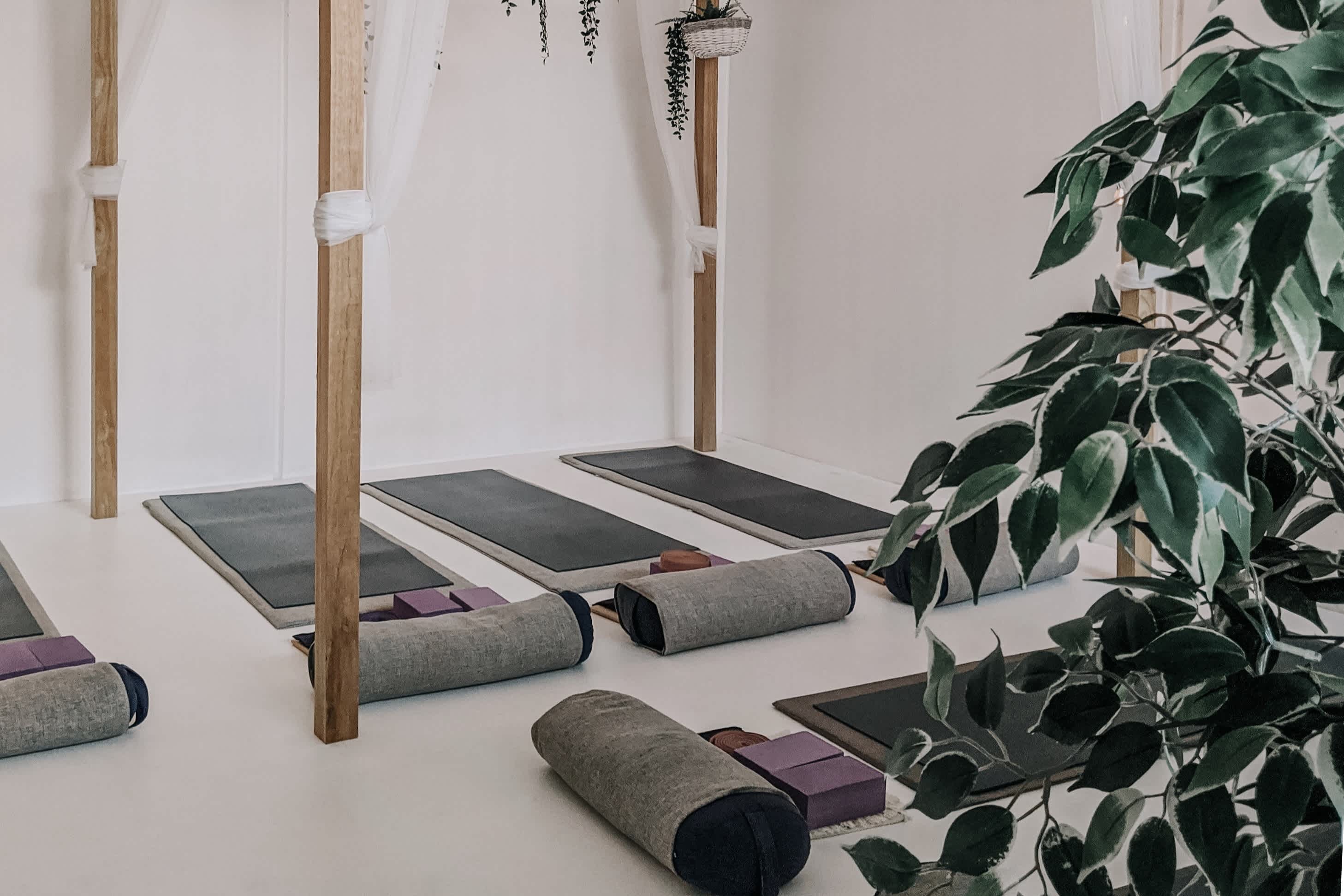 Yoga - Pilates Studio
