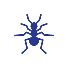 Blue ant on white background | Root Home Services