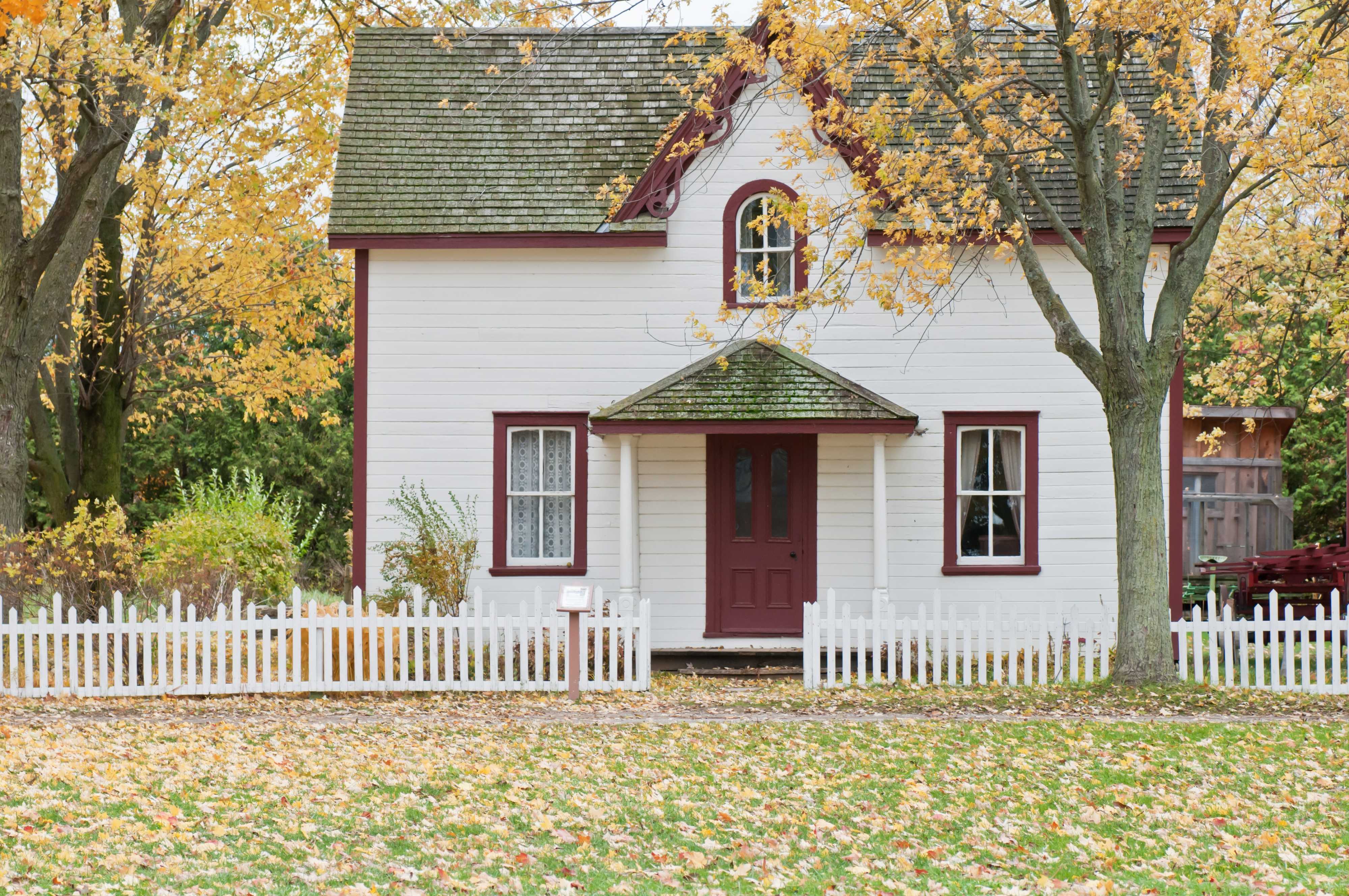 House with leaves