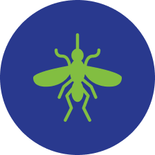 Mosquito icon