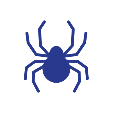 Spider icon | Root Home Services