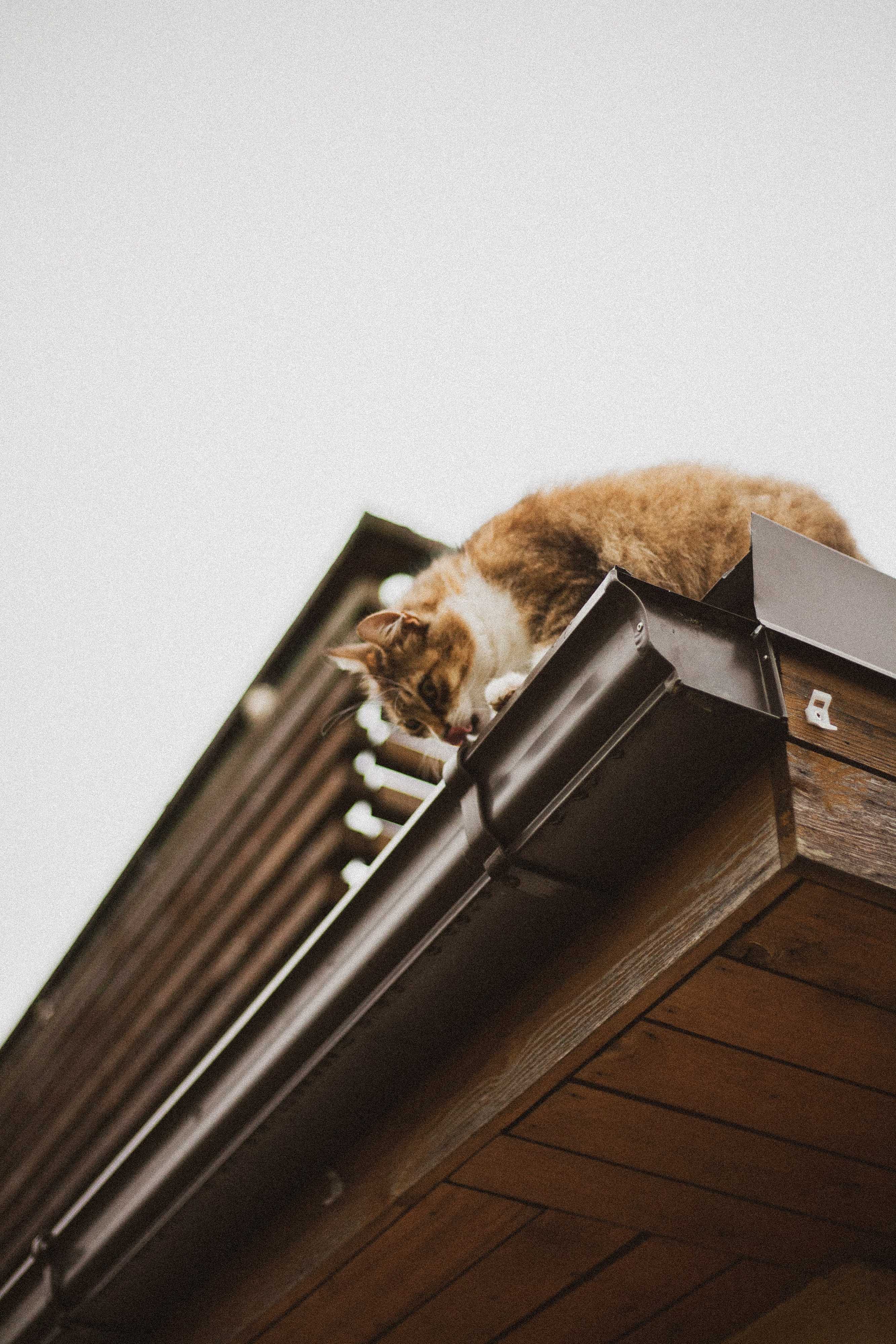 Gutters