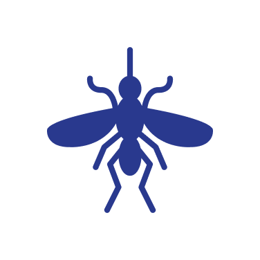 Mosquitoes Icon | Root Home Services