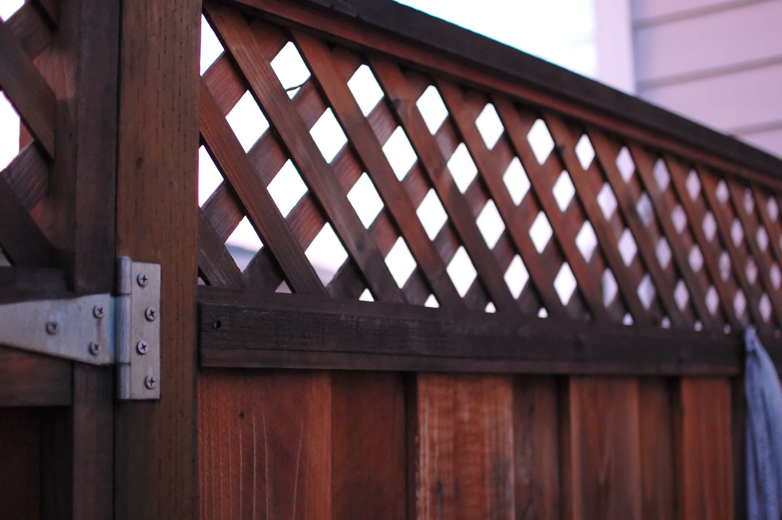 Backyard Fence