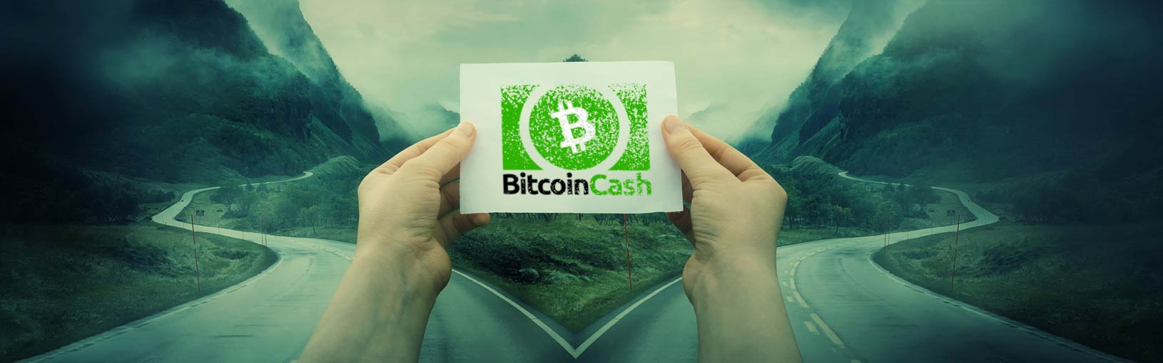 bch 51