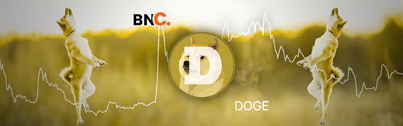 Dogecoin Price Analysis - 22nd December 2021