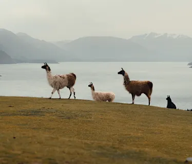 Queenstown, New Zealand