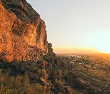 Hero collection- Phoenix