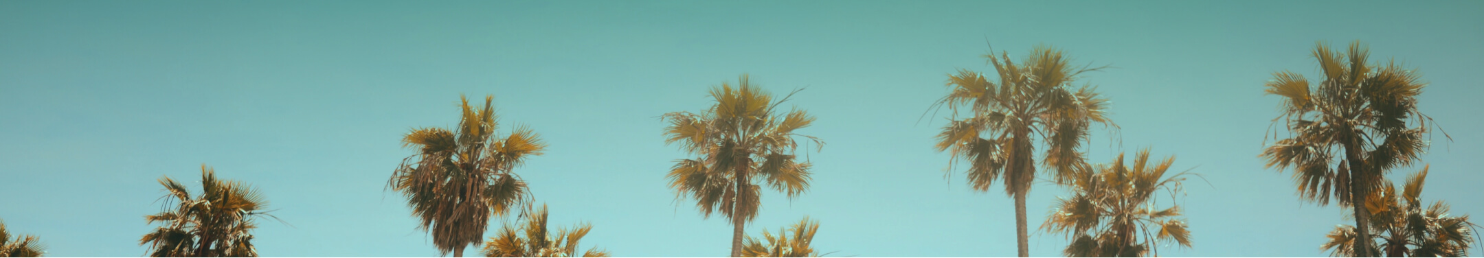 End of Summer Sale