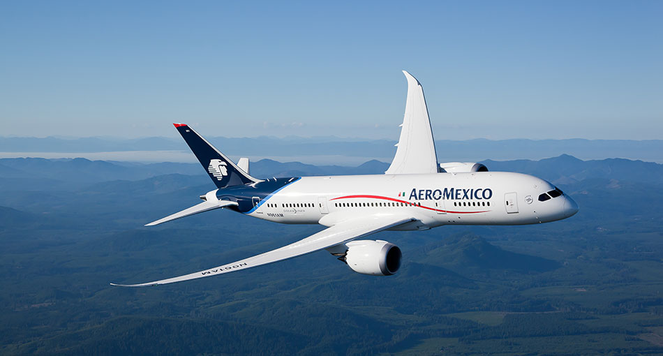 AeroMexico LP Media Gallery Image 3