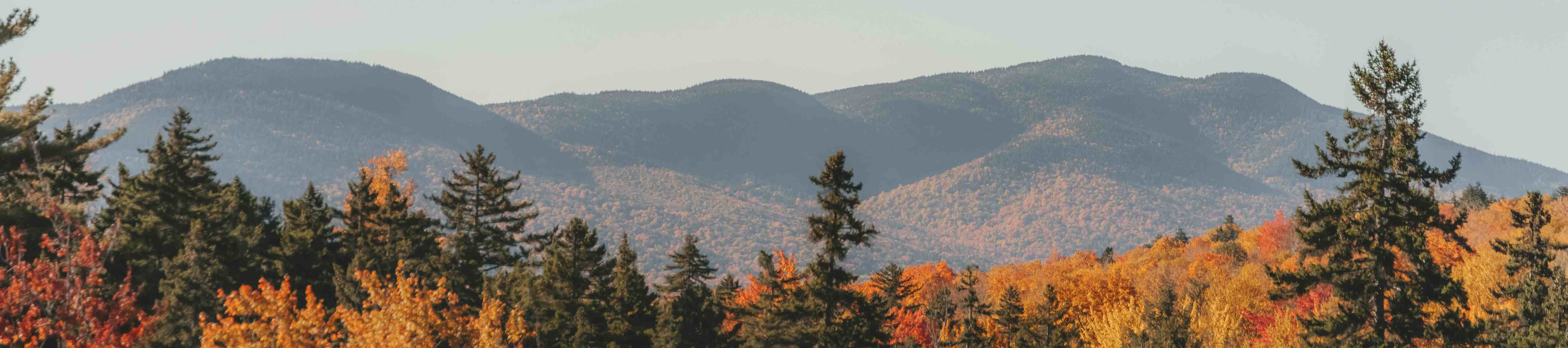 Fall Foliage Hero Image 