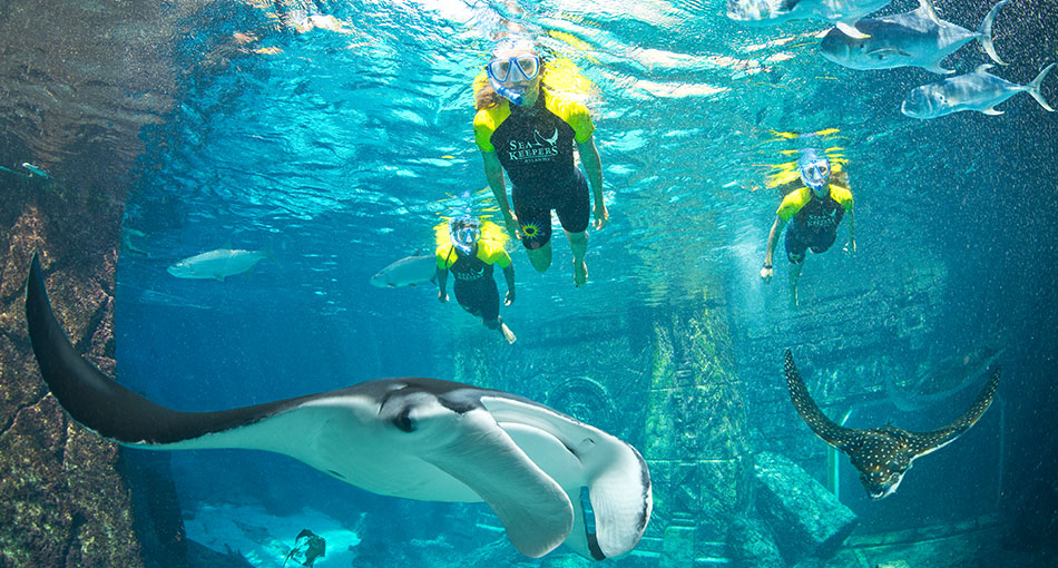 Atlantis Snorkeling Image