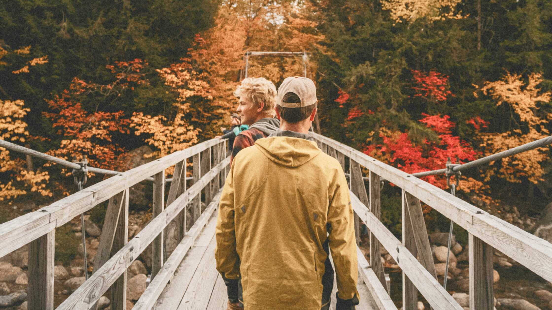 LP Tout Coupon - 560x315