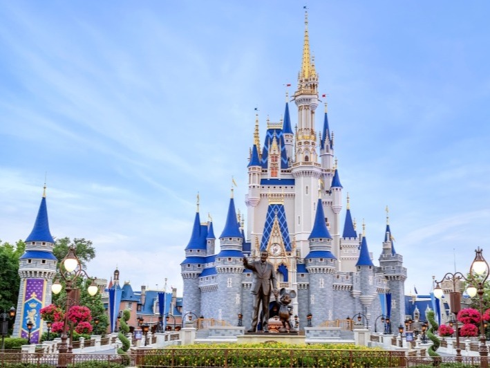 wdw