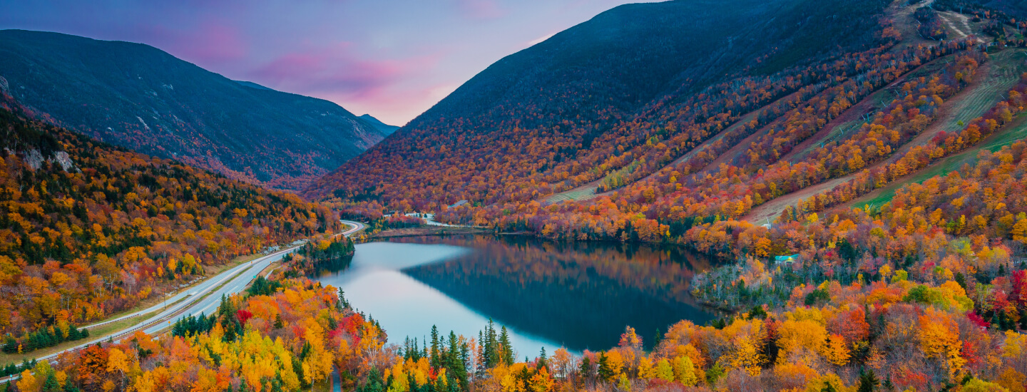 Fall Rental Car Sale