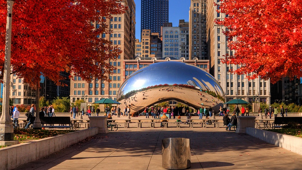The bean