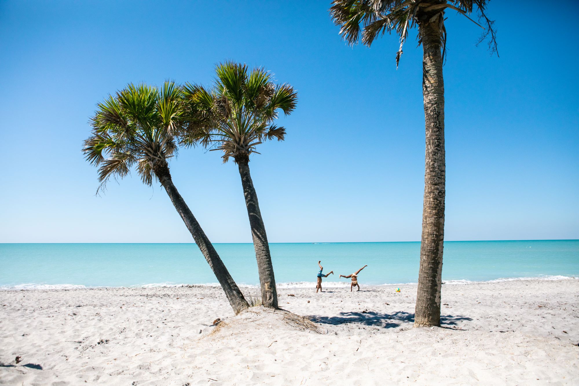VFL Image Gallery Cartwheel on Beach