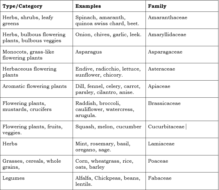 common varieties of microgreens