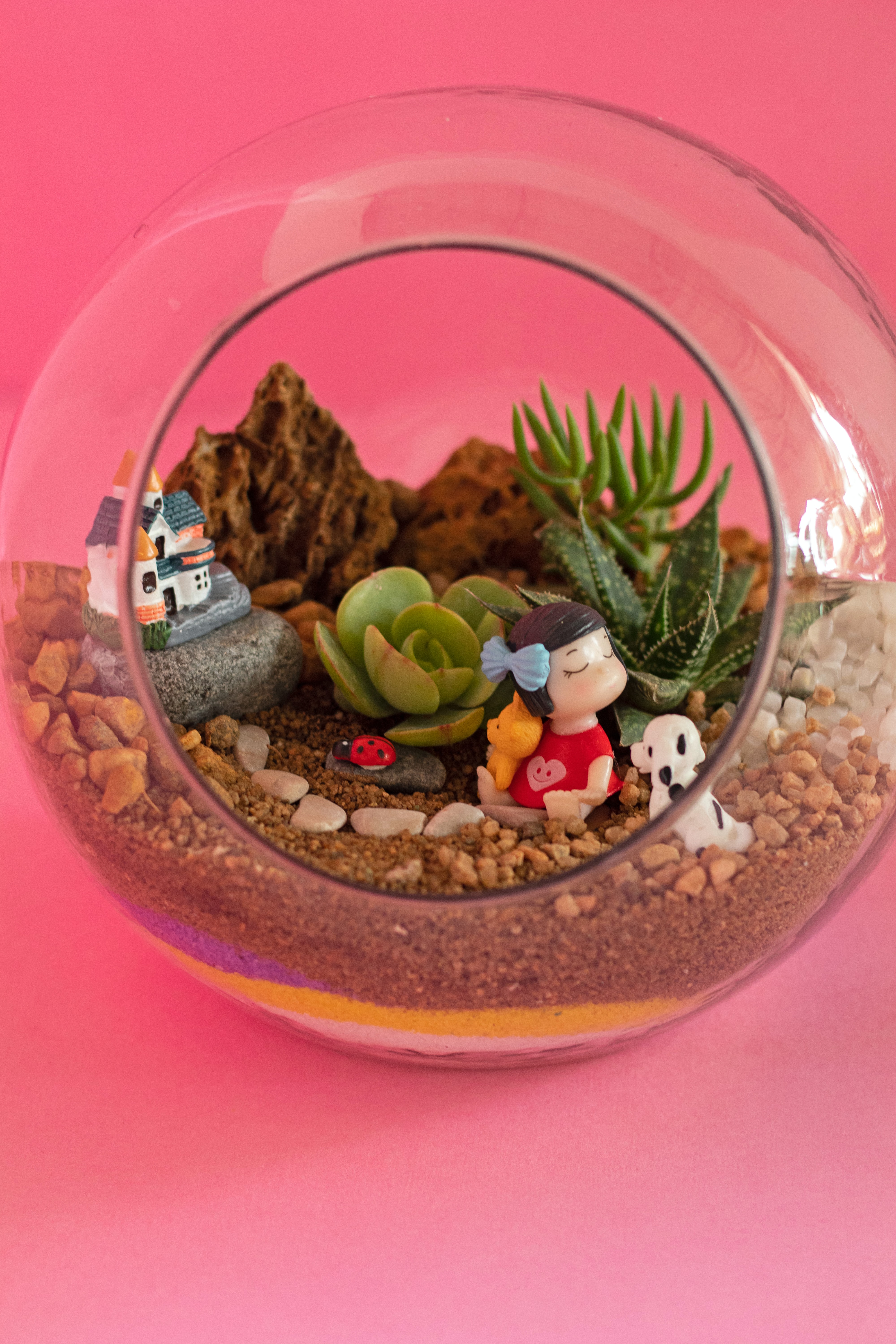 Terrariums