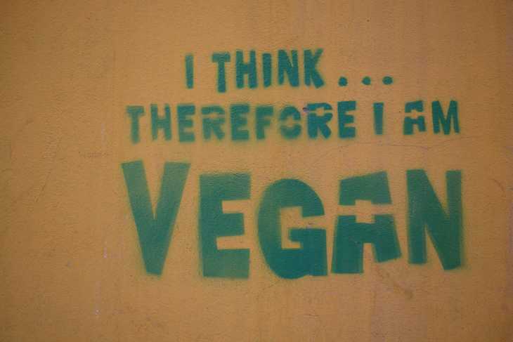 why go vegan