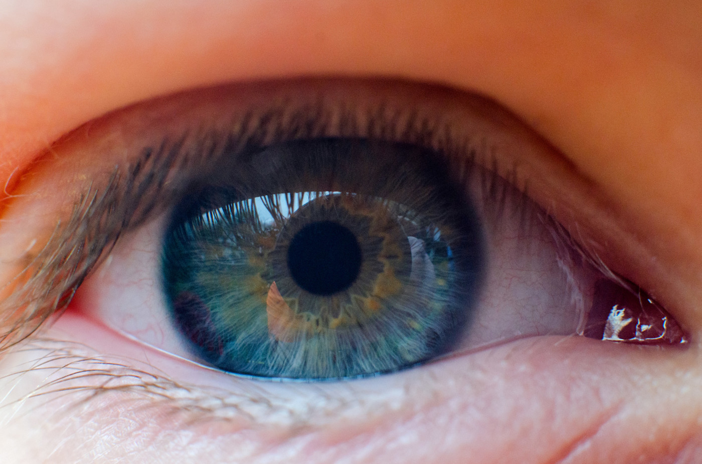 Eye - Macro - Son