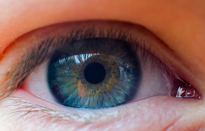 Eye - Macro - Son