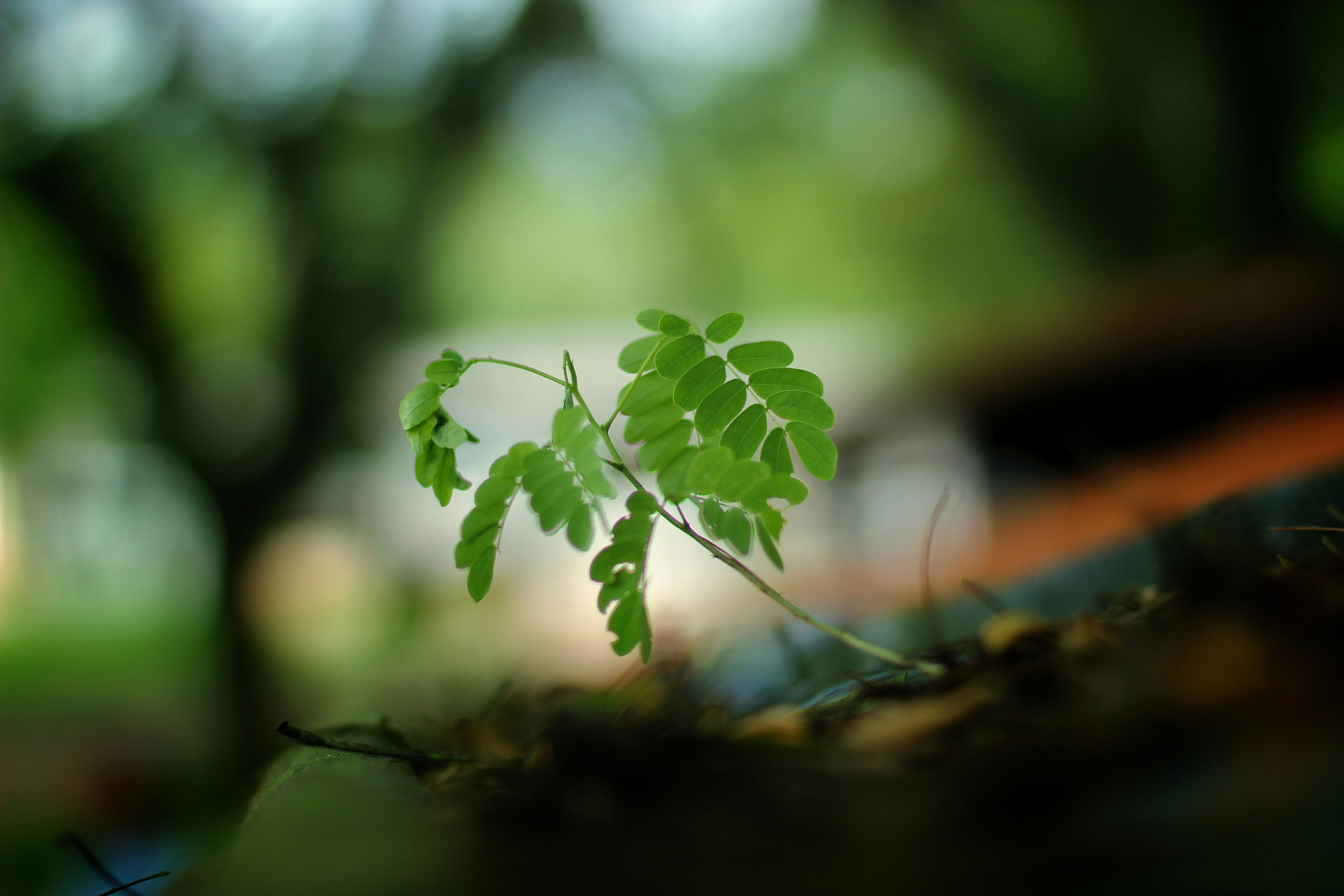 Handler Lifetimes in MicroMediator: Why Your Choice Matters