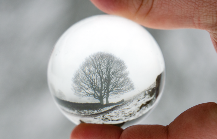 Ogden Reservoir - Tree - Glass Ball