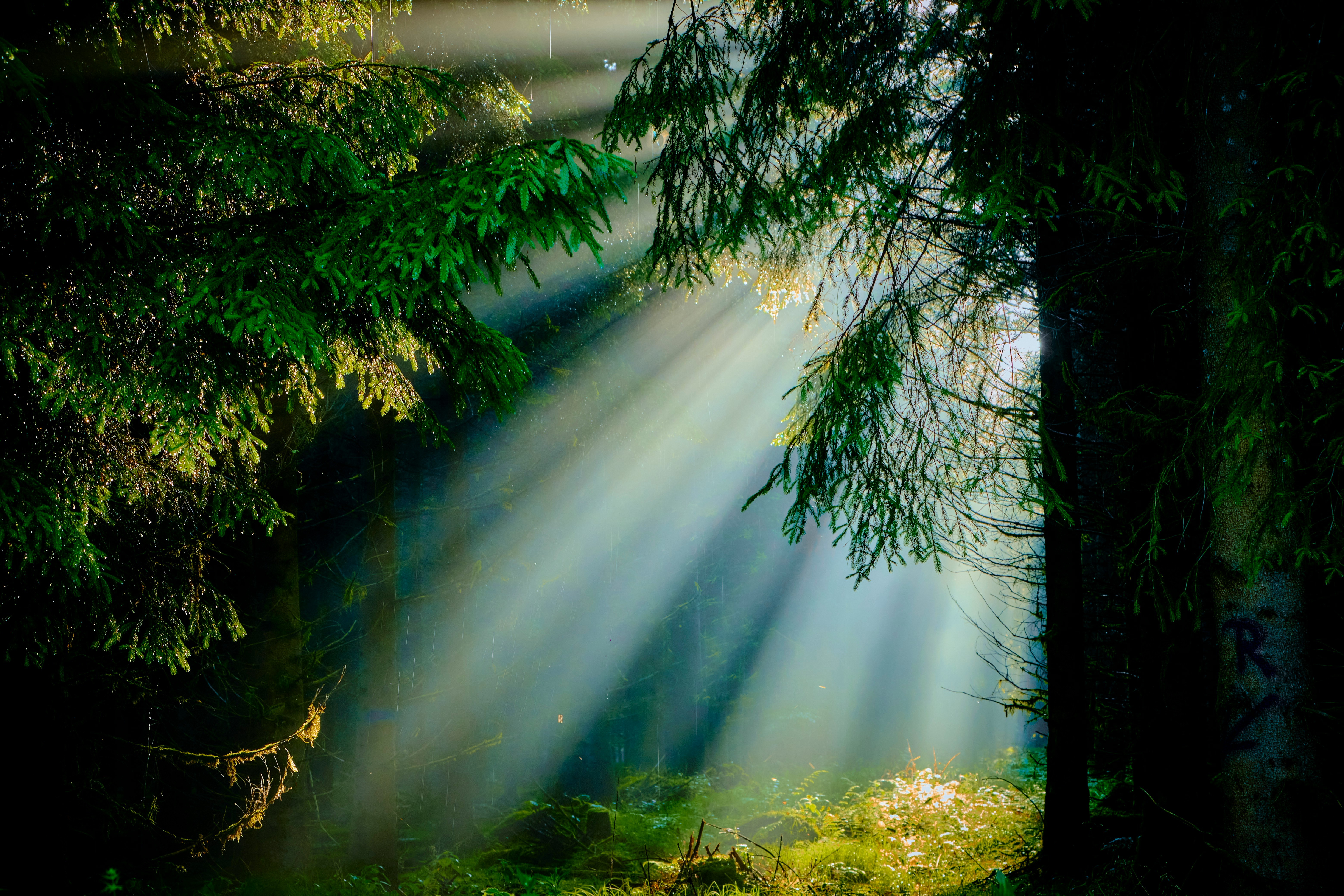 When to Choose a Lightweight Mediator