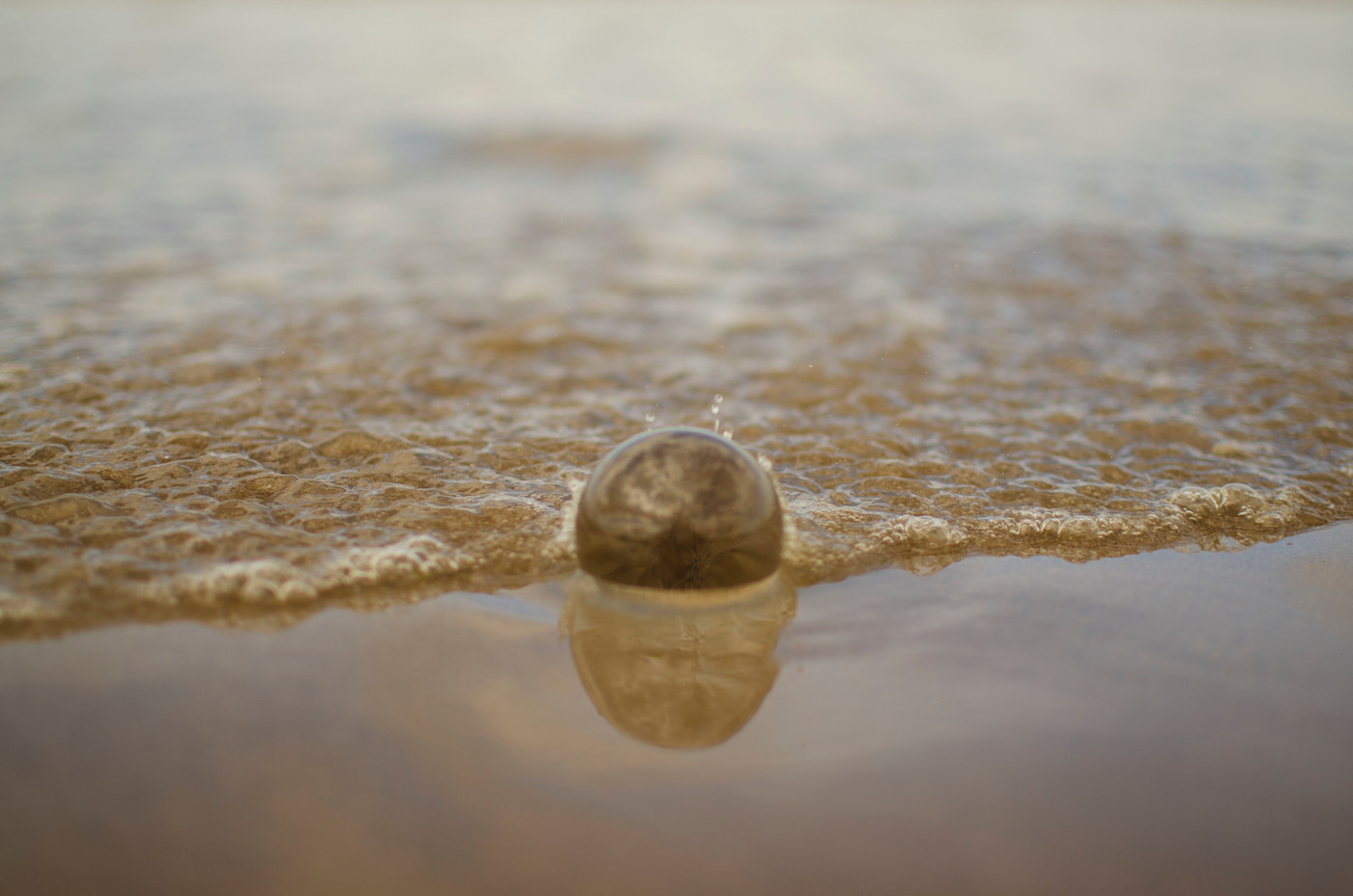 Sea and Sand