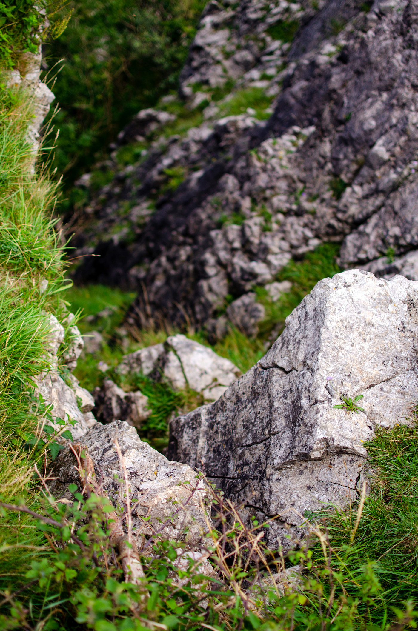 Cheddar Gorge Walk