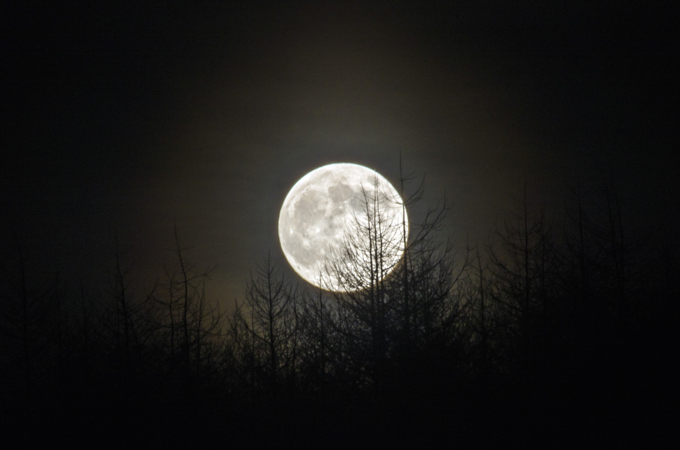 Full moon at Crompton Moor