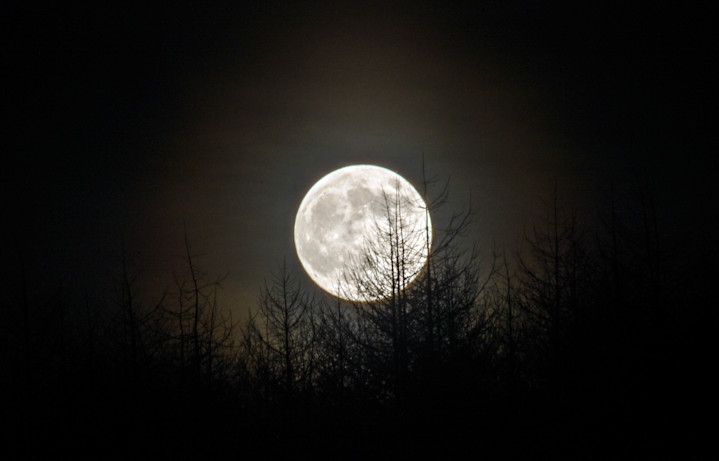 Full moon at Crompton Moor