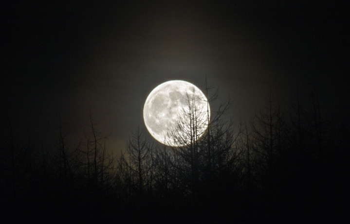 Full moon at Crompton Moor