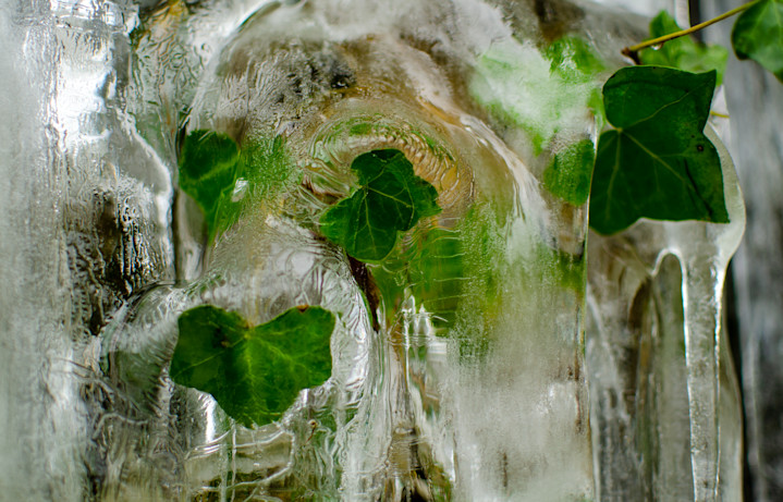 Frozen Ivy - Crompton Moor